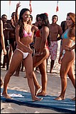 Leme_Gata_Praia3252.jpg