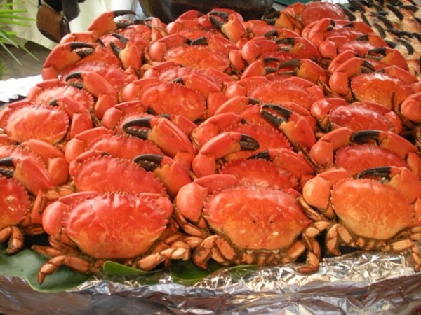 Crabs