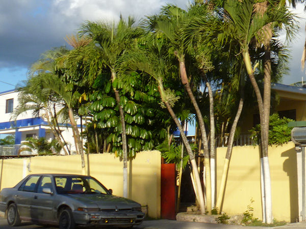 casairaisa