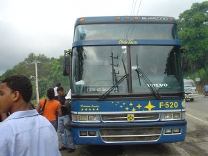 Bus