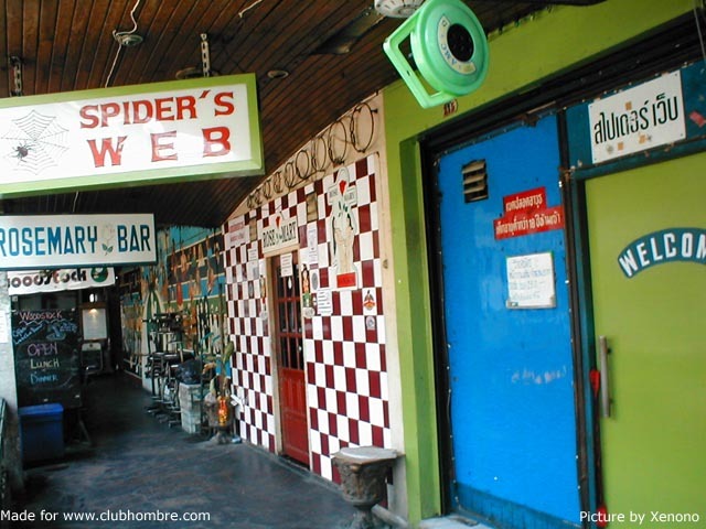 SpidersWeb