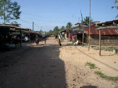 Chicken Village1