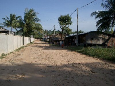 Chicken Village2