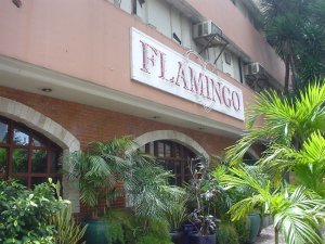 Flamingo