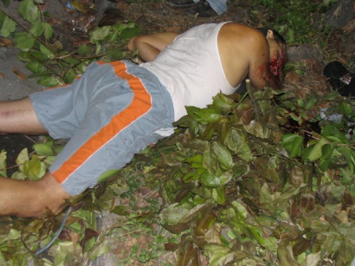 laydead