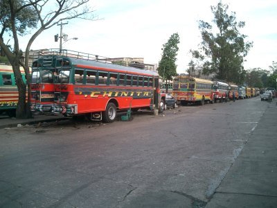zone 4 buses