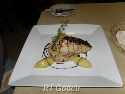 corvina