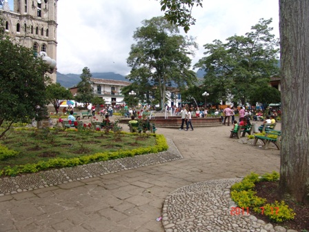 jardin