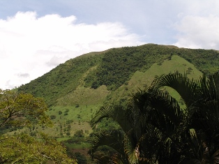 lapintada