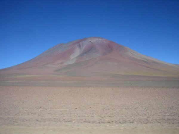 6028