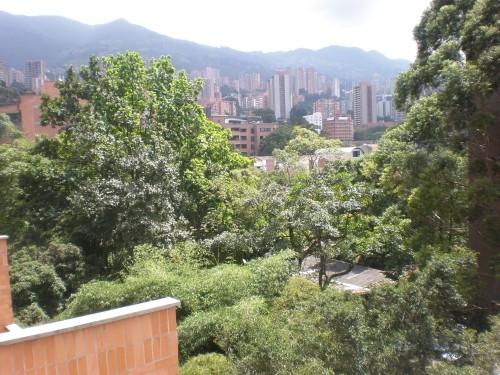 View 1