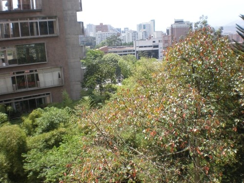 View 2