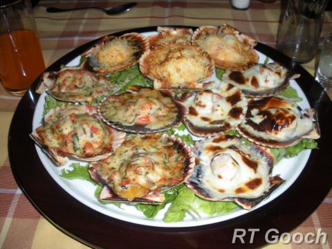 scallops