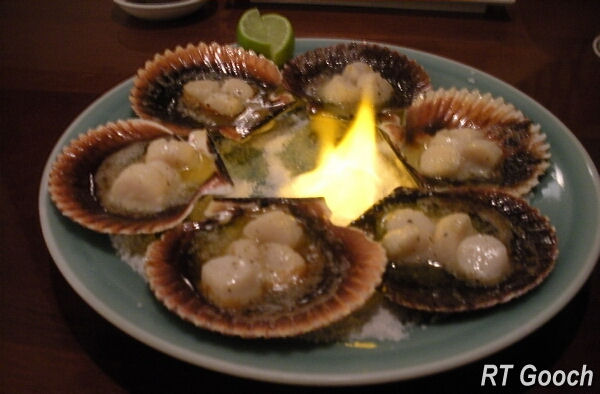 scallops