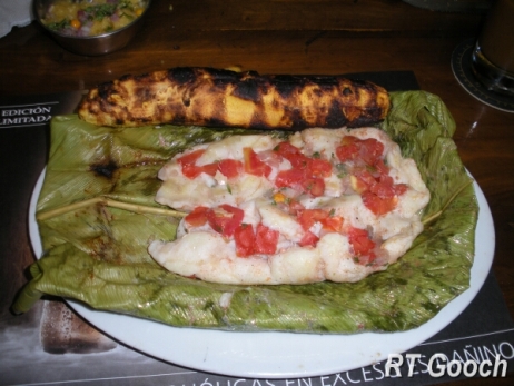 fish