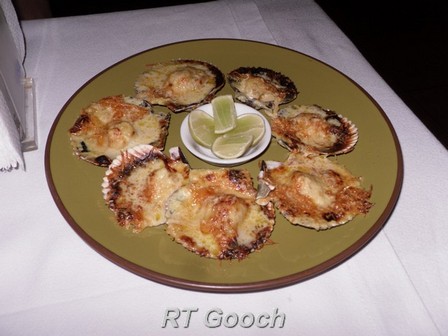 chel scallops