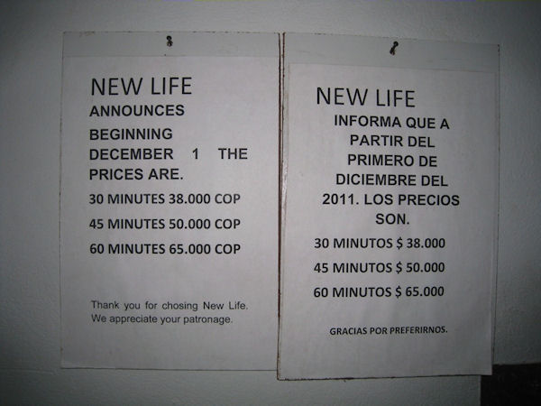 new life