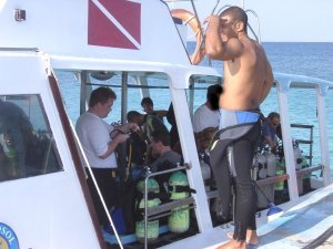 MLG-diving-01