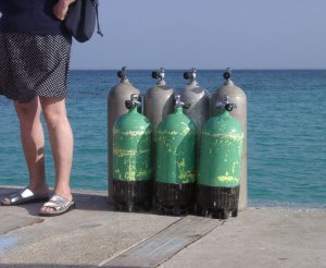 MLG-diving-02