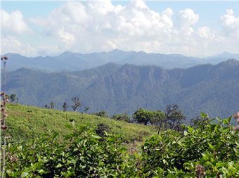 maehongson1