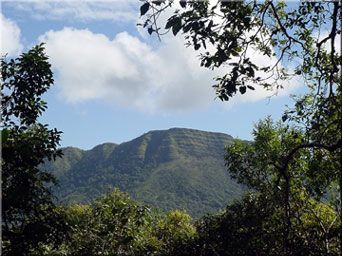 maehongson2