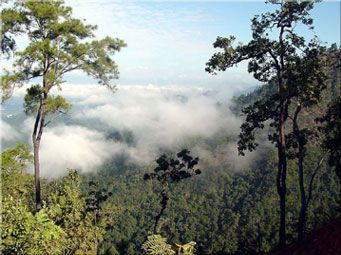 maehongson3