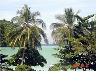 phiphi1