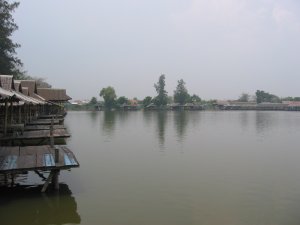 fish14