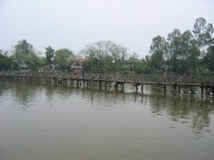 fish15