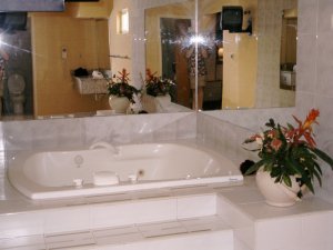 Master Jacuzzi