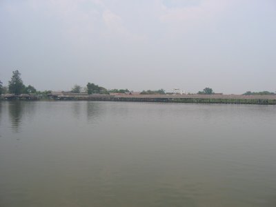 Fish Village 7