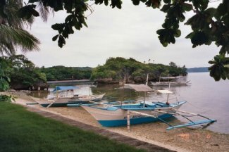 paradise10