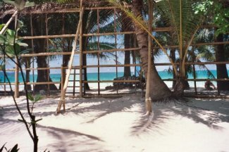 beach8