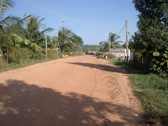 Chicken Village1