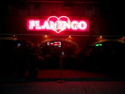 flamingo