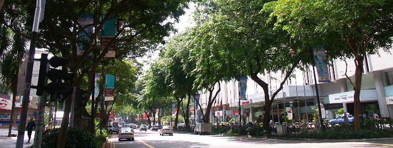 OrchardRd