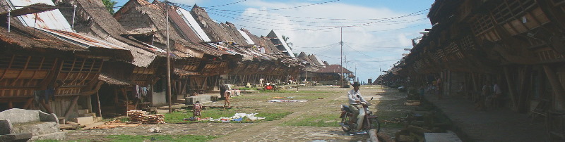 18-Nias3