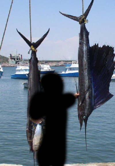 fishing