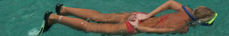 21-PhiPhi1.JPG