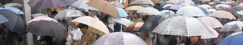 rain