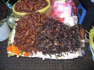 /image{C:\photos\travel\asia\cambo2004\post800600\6