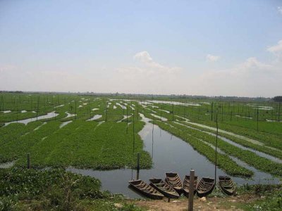 /image{C:\photos\travel\asia\cambo2004\post800600\20