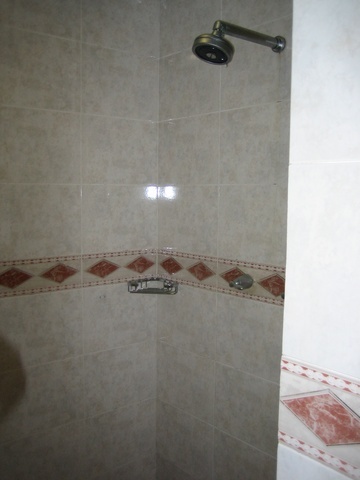 VIPS_Real_Suite11