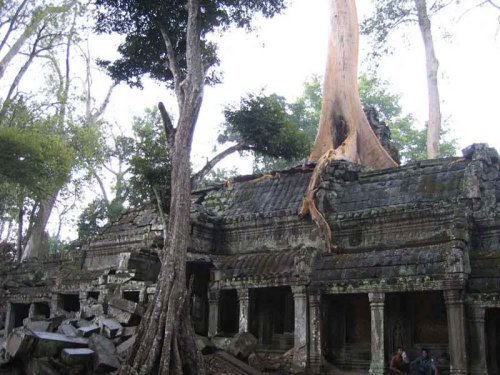Ta Prohm 3