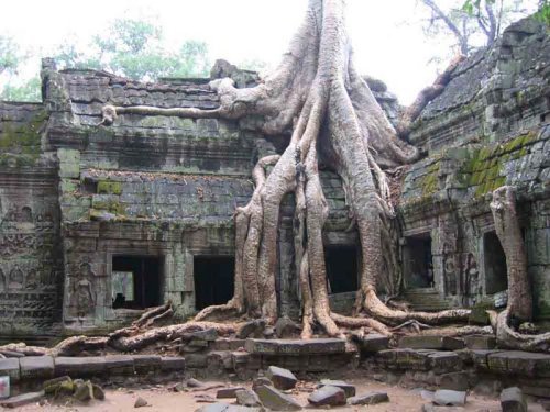 Ta Prohm 4