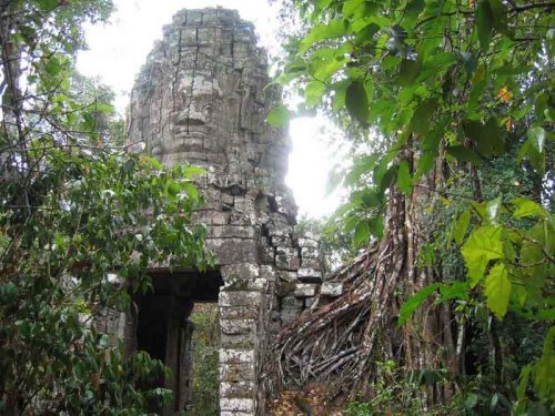 Ta Prohm 5