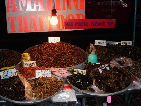 BugFood