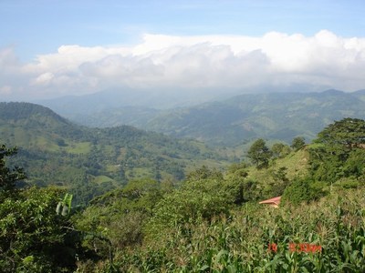 view2