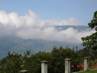 view3