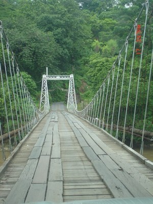 Susbridge